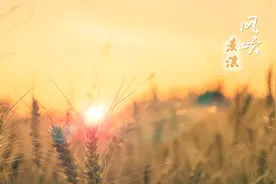 芒种至，属于盛夏的“美丽记忆”视频封面