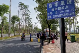 出摊啦！南宁市首批马路市场开张，玉米10元9个图片