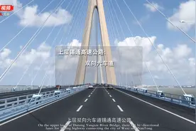 解秘｜沪通长江大桥为什么建成“弯”的？图片