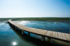 公告丨鄱阳湖大草原景区暂时闭园图片