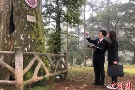 “生态司法”守护福州“高颜值”图片