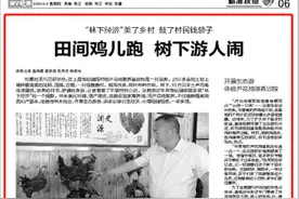 济宁晚报 | 6月4日 汶上县南站镇：田间鸡儿跑 树下游人闹—“林下经济”美了乡村 鼓了村民钱袋子图片