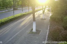 狗狗被车撞死，主人反要赔7万元！网友大呼：判得好图片