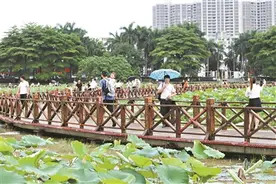 桥头莲湖 等你“打卡”图片