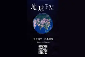 H5｜来，听听大自然的声音图片