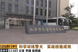 北京警犬大练兵，训犬女民警亮相图片