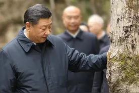 驻足图片