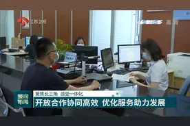 聚焦长三角，感受一体化！开放合作协同高效，优化服务助力发展视频封面