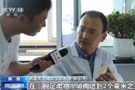 西北大学早期生命研究所专家团队发现地球上最早动物寄生现象图片