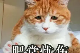 新婚两个月，妻子离家出走！丈夫起疑心：从没见过岳父岳母图片