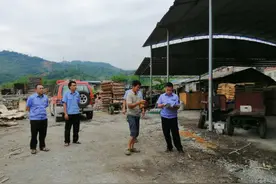 田林县扎实开展木材加工企业专项整治工作图片