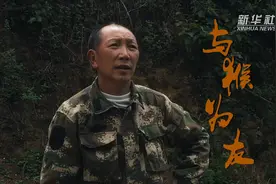 与猴为友视频封面