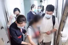 合肥首只导盲犬登上飞机：护送主人乘坐航班 去年乘公交曾被拒载图片
