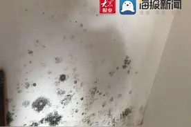 插座漏水墙皮脱落，领秀珊瑚湾新房质量堪忧图片