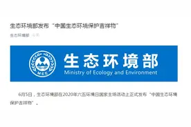 中国生态环境保护吉祥物正式发布 名为“小山”和“小水”图片