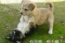 酒后上头，嫌弃对方唱歌难听！两位女士KTV里“互殴”图片