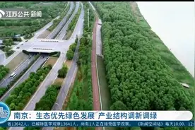 提升枢纽效能！南京：生态优先绿色发展，产业结构调新调绿视频封面