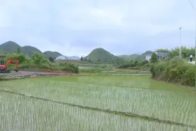 苏仙脱贫故事丨栗木水村的“百变达人”图片
