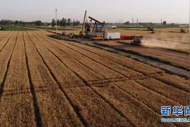 地下油田 地上良田图片