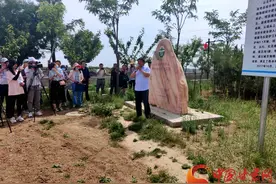 庆阳西峰区清水沟：固沟保塬 生机盎然图片