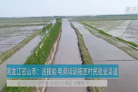 黑龙江密山市：送技能 电商培训拓宽村民就业渠道视频封面