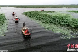 白洋淀流域生态环境监测中心挂牌 推动雄安新区生态文明建设图片