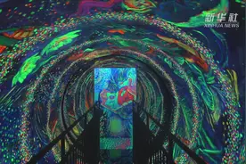 “梵”花似锦 印象光绘