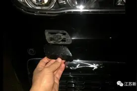 宝马车撞飞狗狗，致狗死亡！警方这样判图片