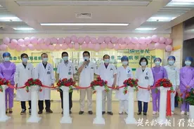 湖北省血液病患儿有了首个带“陪护套间”的移植仓，空气清洁度达百级图片
