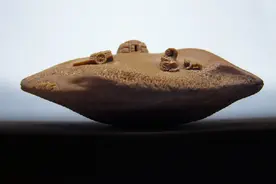 橄榄核上的“微世界”图片