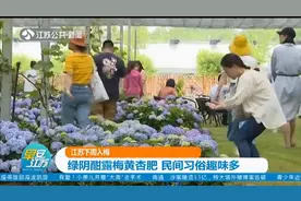 江苏下周入梅！2020年入梅较往年明显偏早，江南降水偏多视频封面