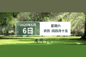 龙岗又有53所幼儿园可以开学了！这类群体可免费体检，持续到11月底 | 早安，龙岗图片