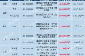 首次！南京土拍“限房价、竞地价”图片