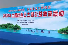 2020年全国放鱼日 无锡太湖放鱼200万尾图片