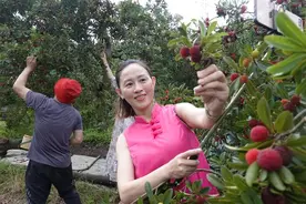“直播带货”拓宽销路 余姚地产杨梅开采啦图片