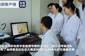 中国发现地球上“生物寄生关系”最早化石证据图片