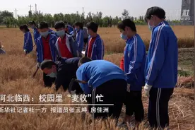 河北临西：校园里“麦收”忙视频封面