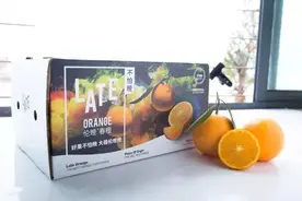 伦晚春橙，花果同枝，更有滋味的“大器晚橙”图片