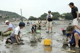 日本天气晴好 儿童聚集海滩挖蛤蜊图片