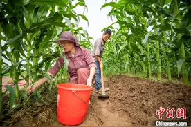 用跳舞解压消愁 浙江瑞安农民舞出快乐人生图片