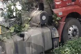 突发！淄博城区一大货车撞上路边大树图片
