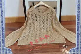 百鸟吟：女士棒针直身套头衫（有编织图解）图片