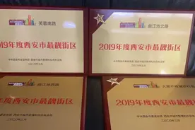 打卡去！这些最靓街区花开正好图片
