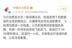 安徽合肥机场一东航客机起飞时因故障紧急滑回图片