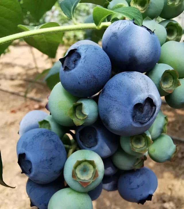 听说你在找“哈利波特”同款梦幻迷宫？