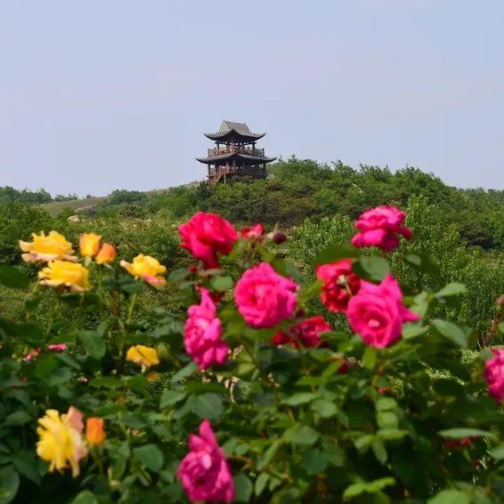 听说你在找“哈利波特”同款梦幻迷宫？