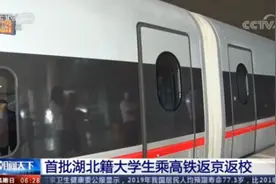 首批湖北籍大学生乘高铁返京返校图片