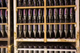 你一定要知道的起泡酒酿造方法图片