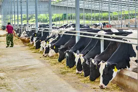 跨越千里山海情 对口帮扶结硕果——青岛与安顺持续深化东西部扶贫协作综述图片