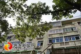 「问政调查」市民咨询老旧小区改造中隐形防盗网是否要拆除图片